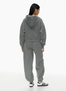 cozy fleece boyfriend boxy zip hoodie sold by Aritzia