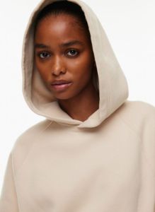 cozy fleece mega raglan™ hoodie sold by Aritzia