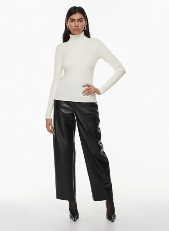 compel turtleneck sold by Aritzia