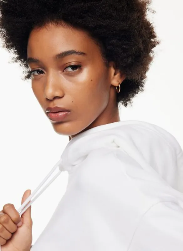terry fleece boyfriend hoodie sold by Aritzia