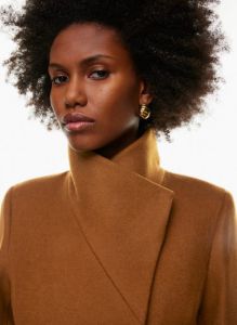 the connor coat sold by Aritzia