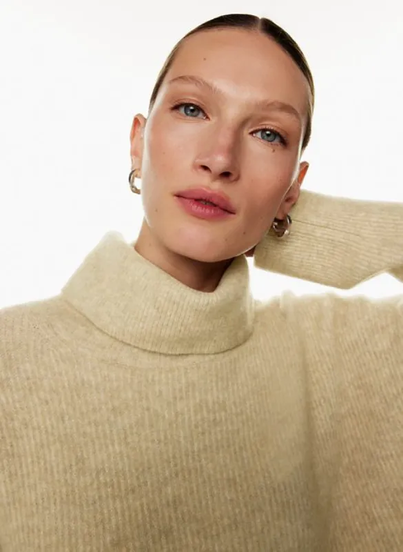 lacombe turtleneck sold by Aritzia