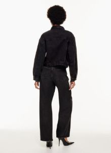 shrunken charli jacket sold by Aritzia