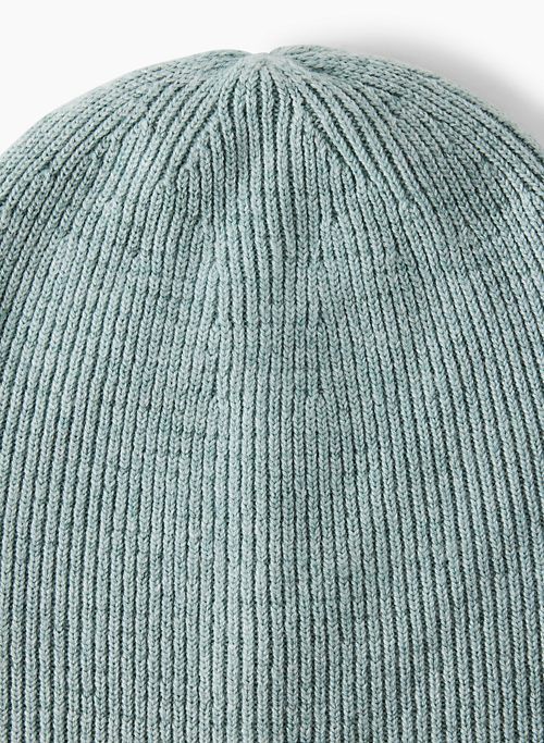 slopes beanie sold by Aritzia product image thumbnail 2