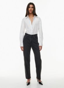 the 90s marlo hi-rise baggy jean sold by Aritzia