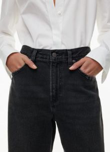 the 90s marlo hi-rise baggy jean sold by Aritzia