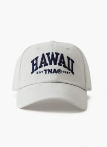 dad baseball cap sold by Aritzia