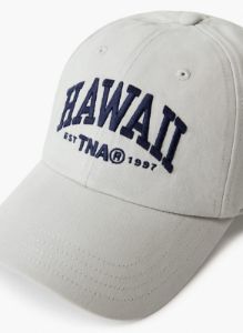 dad baseball cap sold by Aritzia
