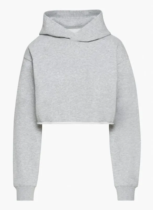 janson hoodie sold by Aritzia