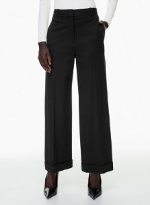 infinity pant sold by Aritzia