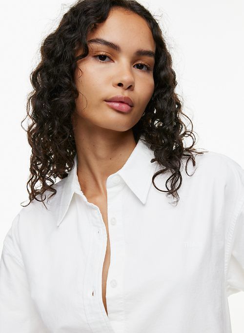 route oxford shirt sold by Aritzia product image thumbnail 2