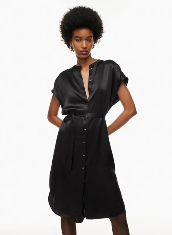 delegate silk dress sold by Aritzia