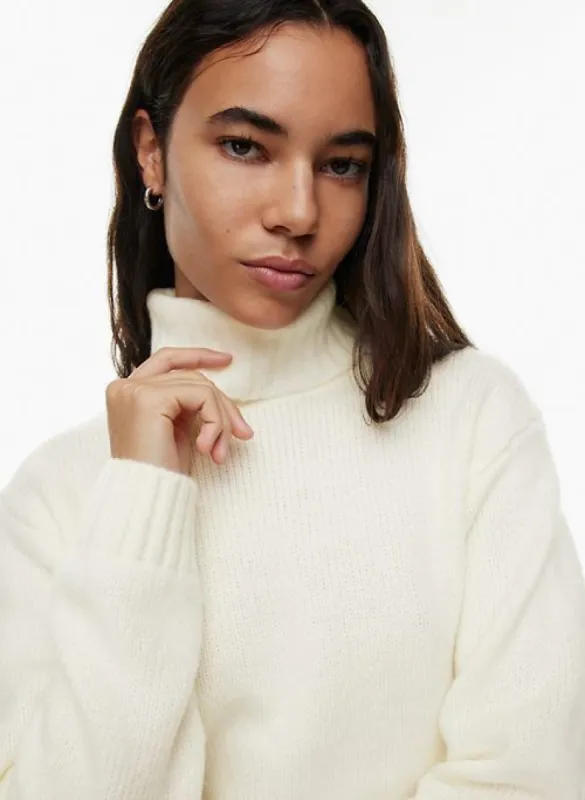 romanza turtleneck sold by Aritzia