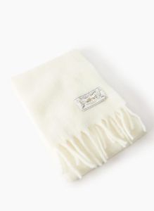 geneva scarf sold by Aritzia