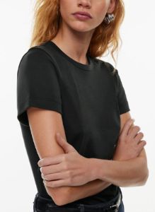 wirth t-shirt sold by Aritzia