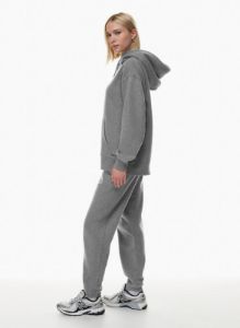 cozy fleece boyfriend sweatpant sold by Aritzia