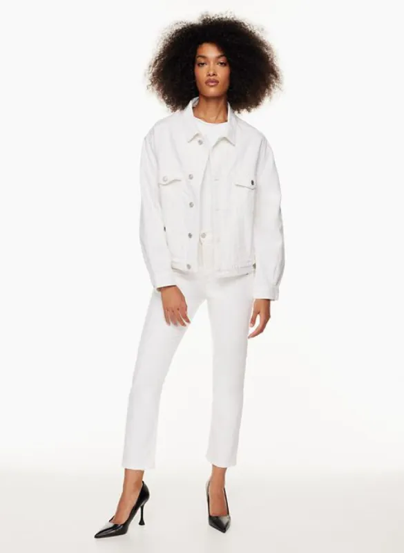 charli denim jacket sold by Aritzia