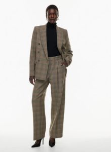 pleated pant sold by Aritzia
