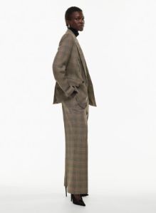 pleated pant sold by Aritzia