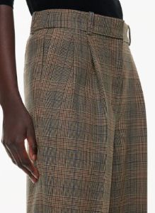 pleated pant sold by Aritzia