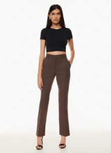 publish pant sold by Aritzia
