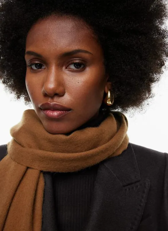 aspen cashmere scarf sold by Aritzia