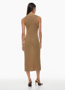 aesthetica dress sold by Aritzia