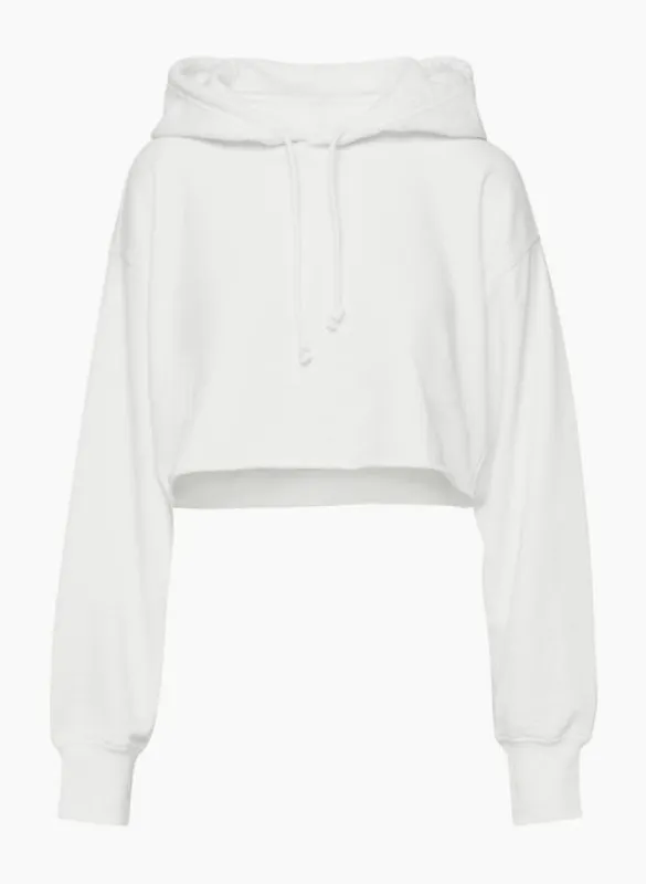 flash hoodie sold by Aritzia