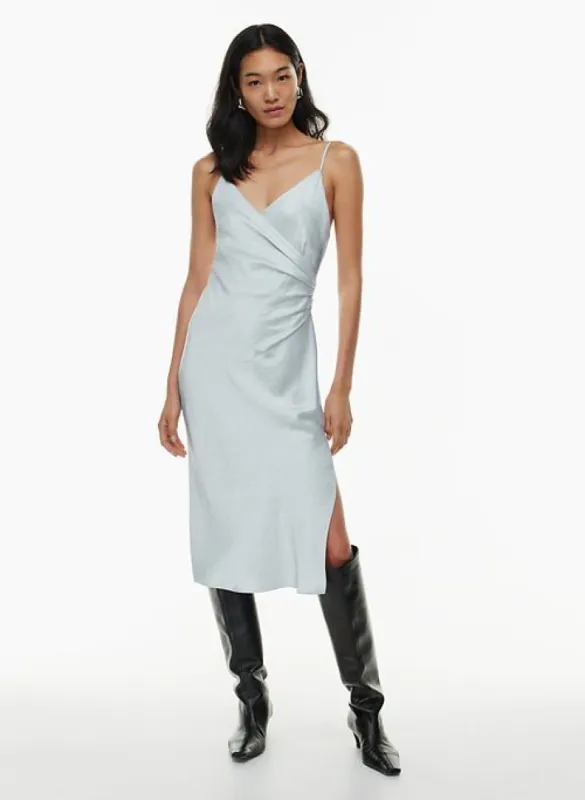scenery dress sold by Aritzia