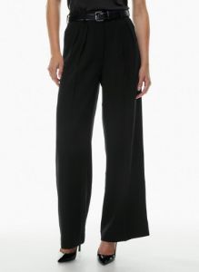 founder pant sold by Aritzia