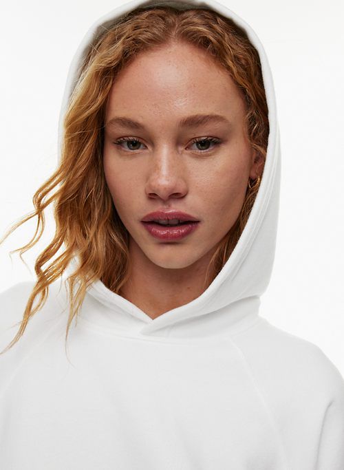 terry fleece mega raglan hoodie sold by Aritzia