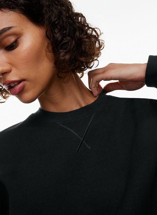 cozy fleece mega crew sweatshirt sold by Aritzia product image thumbnail 4