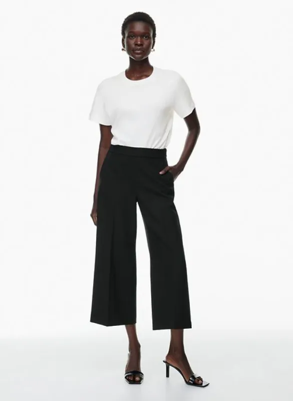 overtake pant sold by Aritzia