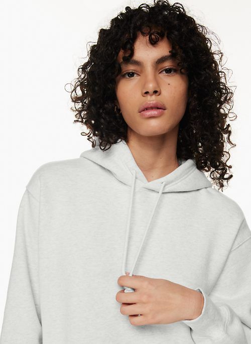 cozy fleece boyfriend hoodie sold by Aritzia product image thumbnail 3