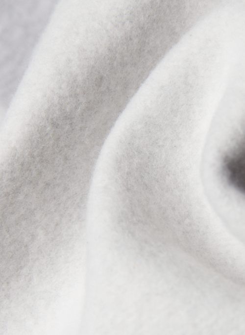 cozy fleece boyfriend 6 sweatshort sold by Aritzia product image thumbnail 7