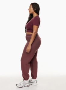 cozy fleece mega sweatpant sold by Aritzia