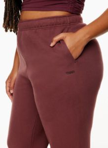 cozy fleece mega sweatpant sold by Aritzia