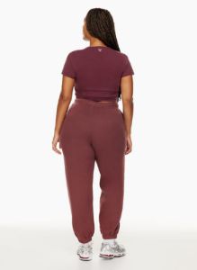 cozy fleece mega sweatpant sold by Aritzia