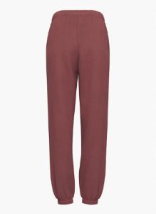 cozy fleece mega sweatpant sold by Aritzia