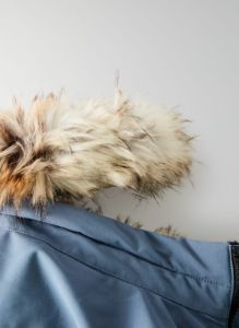 bancroft parka sold by Aritzia