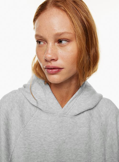 cozy fleece mega raglan hoodie sold by Aritzia product image thumbnail 2