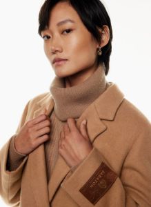 the stedman coat sold by Aritzia