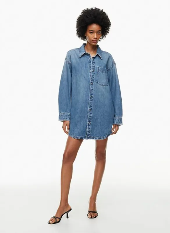 the maya denim dress sold by Aritzia