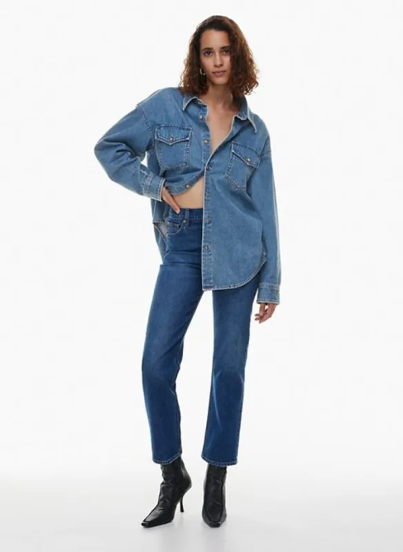 the 90s denim shirt sold by Aritzia