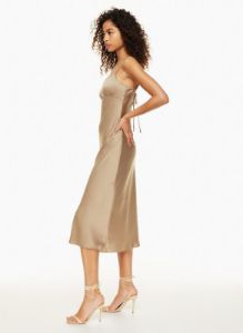 landscape satin dress sold by Aritzia
