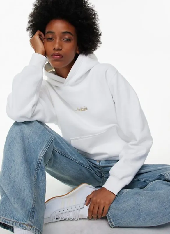 cozy fleece perfect hoodie sold by Aritzia