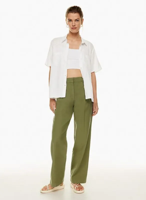 dion pant sold by Aritzia