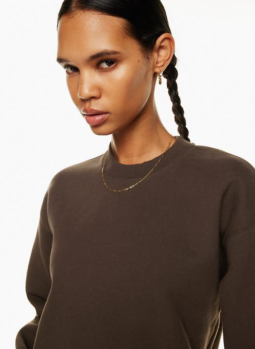 Tna Women's Cozy Fleece Perfect Crew Sweatshirt in Gd Rich Mocha Brown size 2XS sold by Aritzia product image thumbnail 4