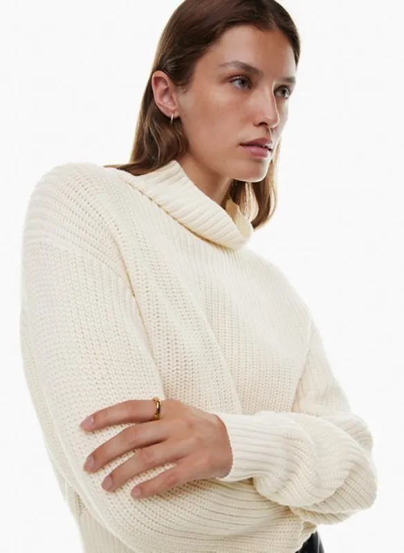 montpellier merino wool waist turtleneck sold by Aritzia