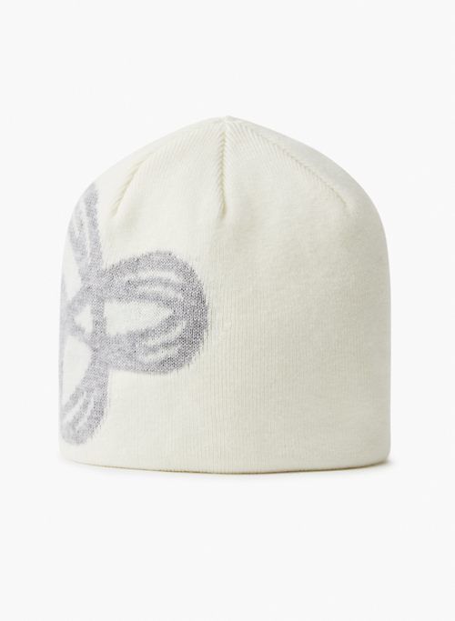 mountain beanie sold by Aritzia